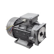 Electric motor for hydraulic power unit 400V to P4000G