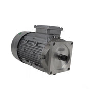 Motor til SH3001 400V