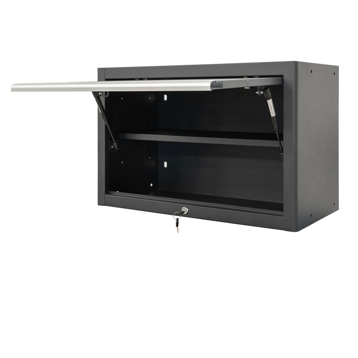 Professional Tool Wall cabinet series 610 gray
