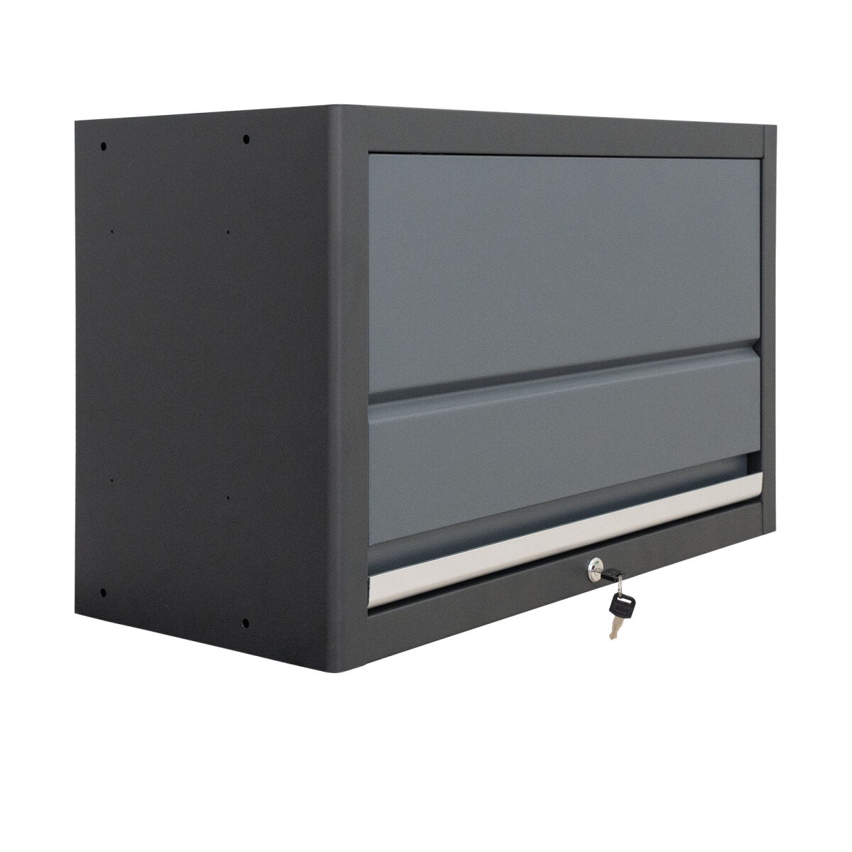 Professional Tool Wall cabinet series 610 gray