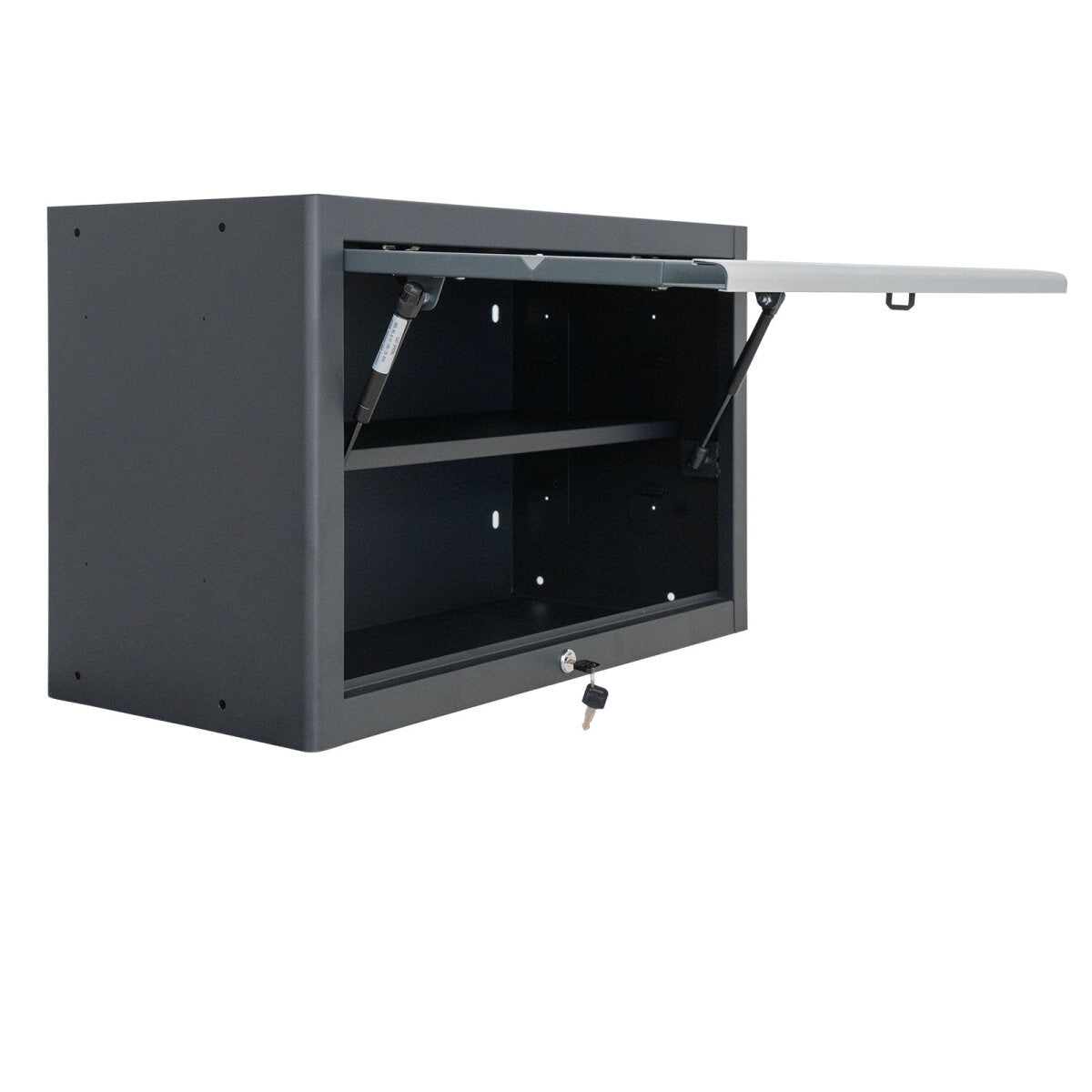 Professional Tool Wall cabinet series 610 gray