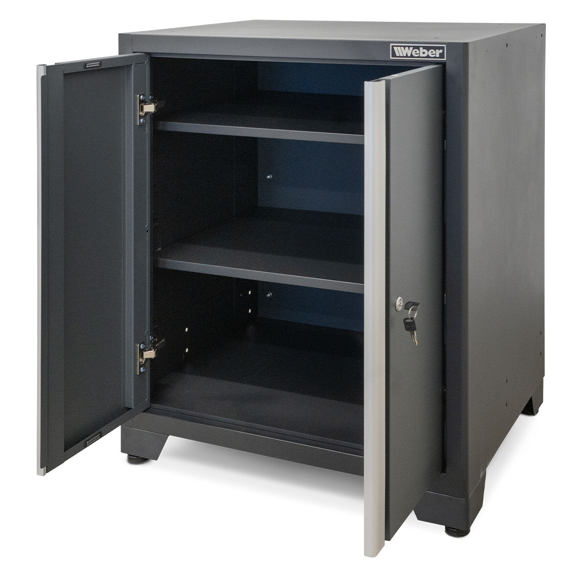 Professional Tool Cabinet series 610 with 2 doors, gray