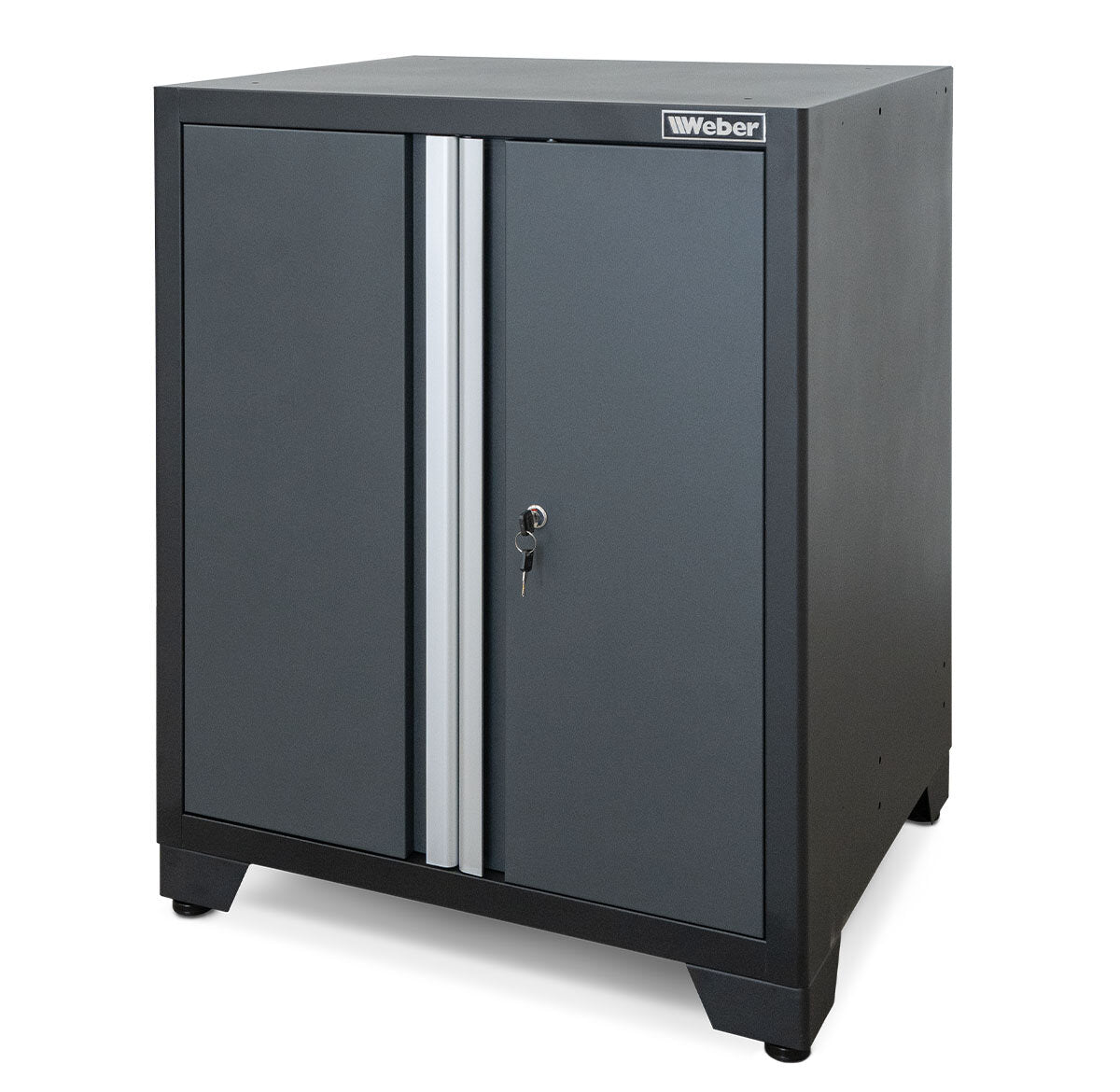 Professional Tool Cabinet series 610 with 2 doors, gray