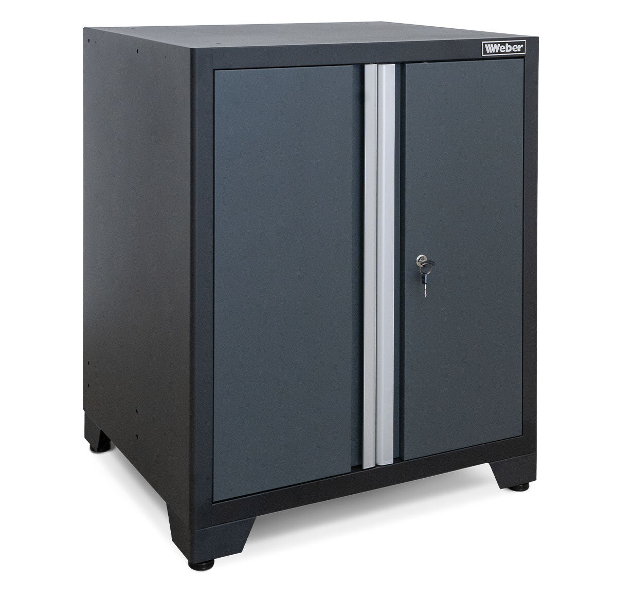 Professional Tool Cabinet series 610 with 2 doors, gray