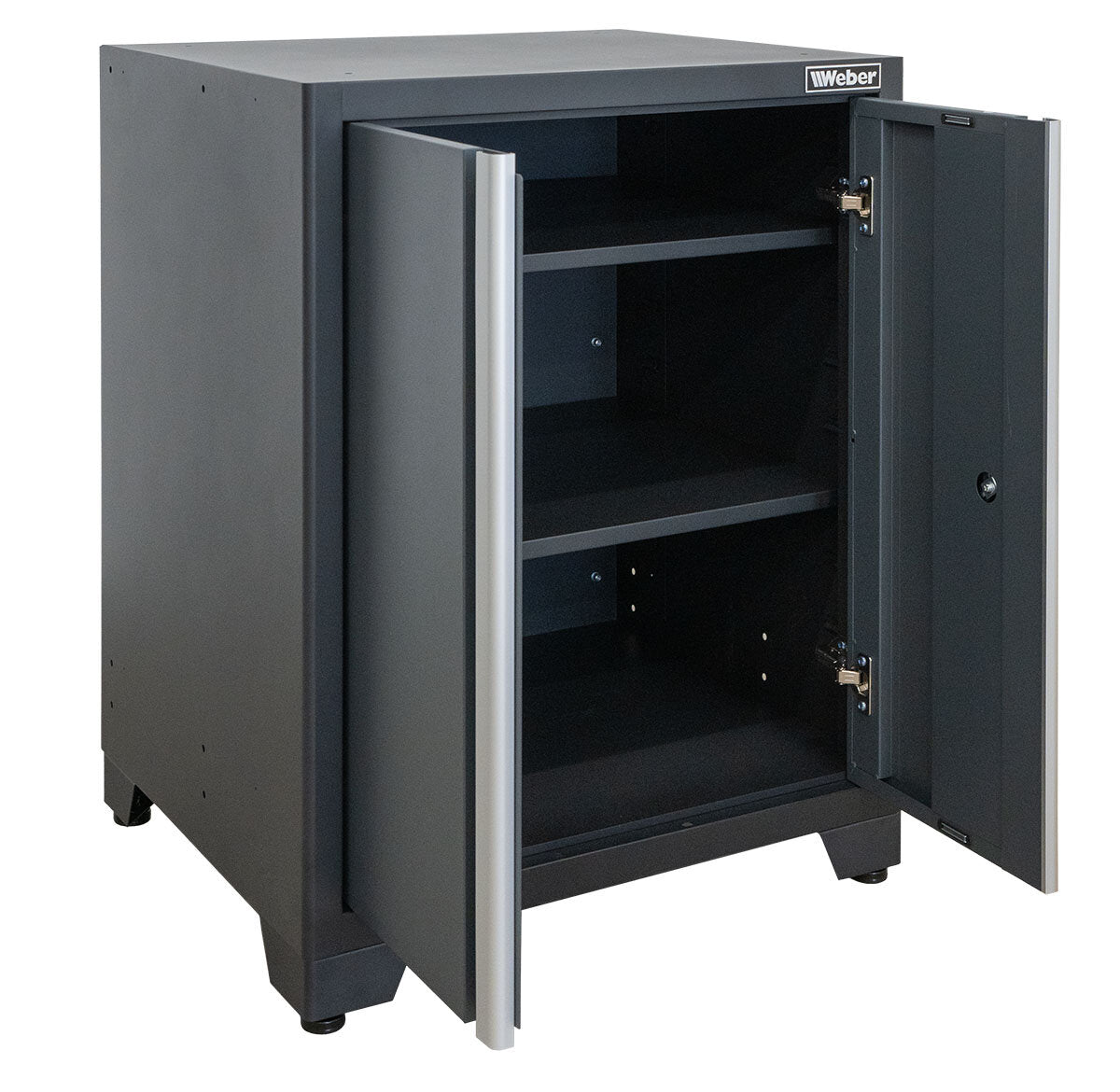 Professional Tool Cabinet series 610 with 2 doors, gray